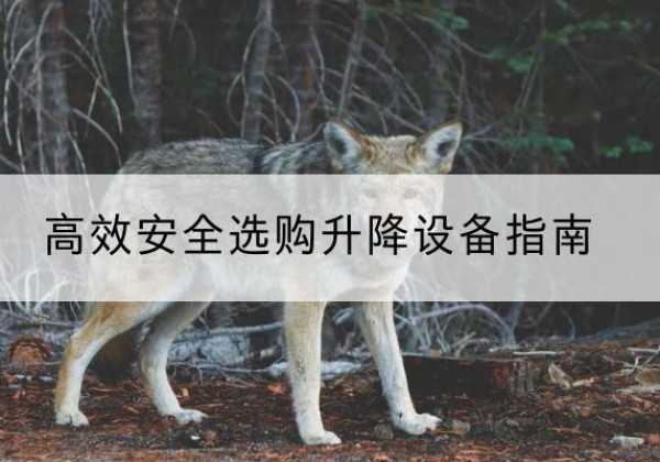南康升降货梯厂家推荐-*安全选购升降设备指南