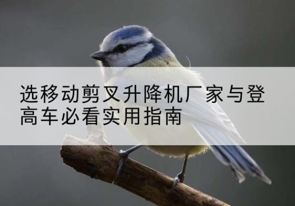 南康电动升降机厂家-选移动剪叉升降机厂家与登高车必看实用指南