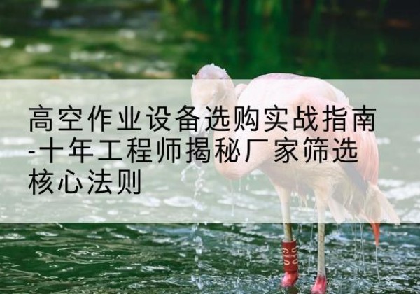南康剪叉式升降机厂家-高空作业设备选购实战指南-十年工程师揭秘厂家筛选核心法则